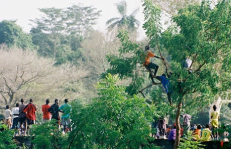 Sénégal - Eric Lemaire